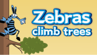 Zebras climb trees