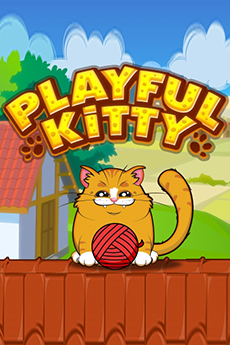 Playful Kitty